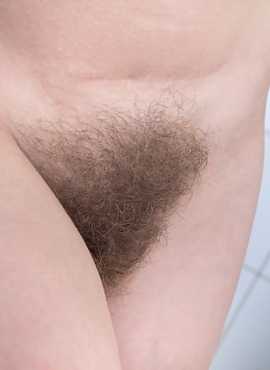 Free Hairy Pussy Porn Pictures